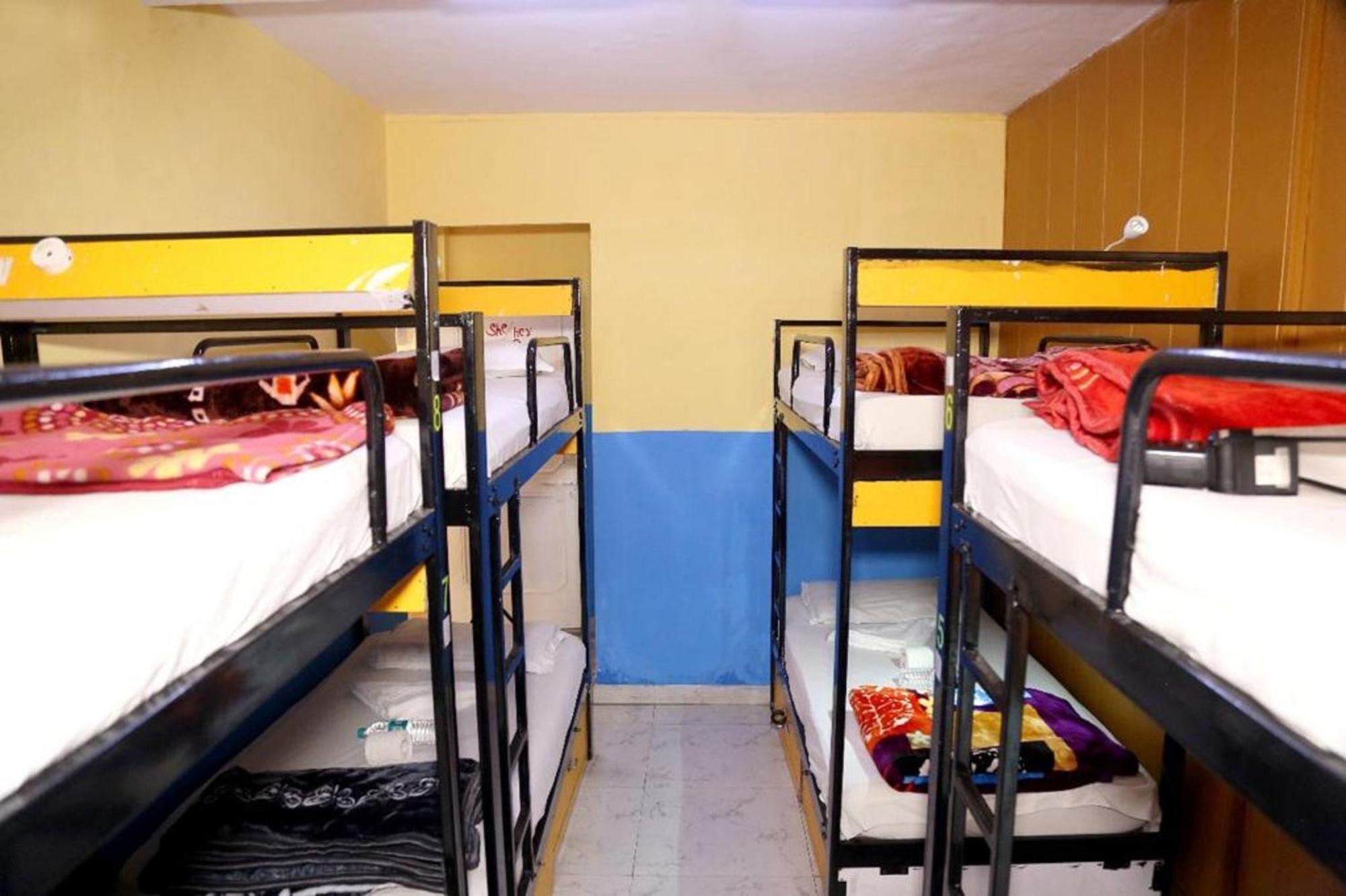 Bunk Hostel Delhi Best Backpacking Accommodation ニューデリー エクステリア 写真
